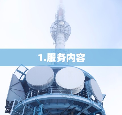 1.服务内容