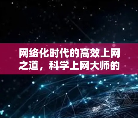 网络化时代的高效上网之道，科学上网大师的智慧