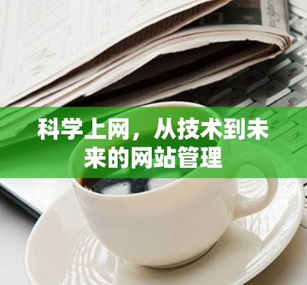 科学上网，从技术到未来的网站管理