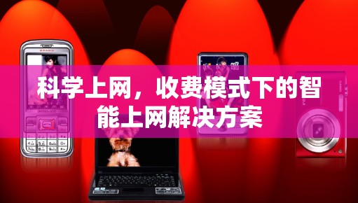 科学上网，收费模式下的智能上网解决方案