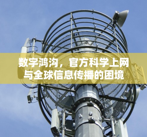 数字鸿沟，官方科学上网与全球信息传播的困境