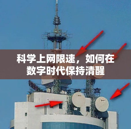 科学上网限速，如何在数字时代保持清醒