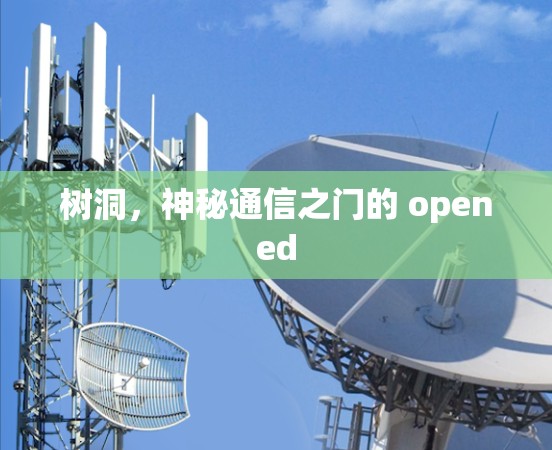 树洞，神秘通信之门的 opened