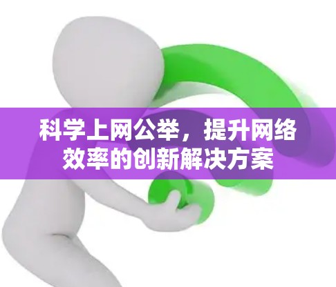 科学上网公举，提升网络效率的创新解决方案