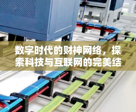 数字时代的财神网络，探索科技与互联网的完美结合