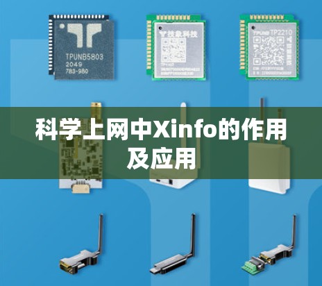 科学上网中Xinfo的作用及应用