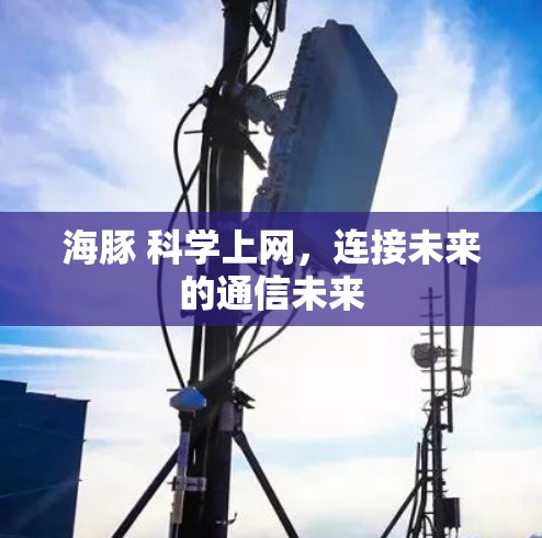 海豚 科学上网，连接未来的通信未来