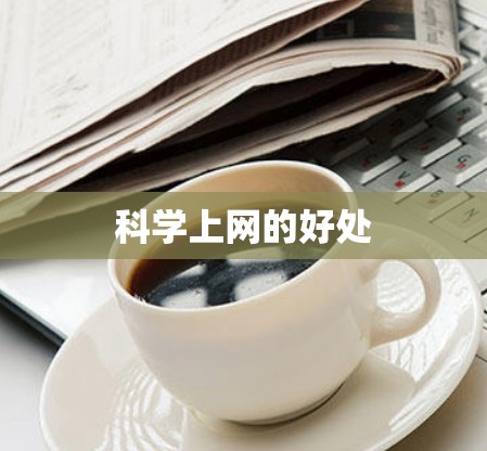 科学上网的好处