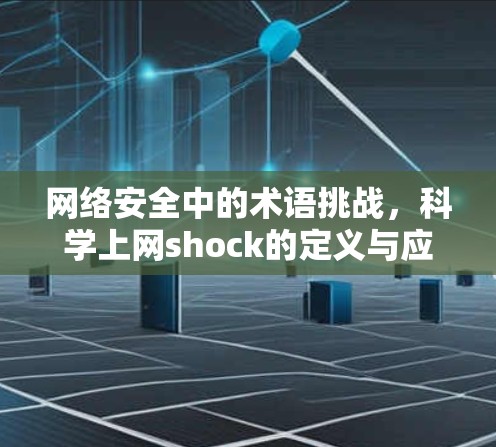 网络安全中的术语挑战，科学上网shock的定义与应对