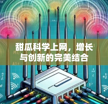 甜瓜科学上网，增长与创新的完美结合
