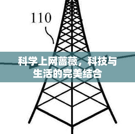 科学上网蔷薇，科技与生活的完美结合