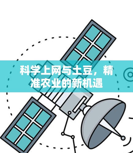 科学上网与土豆，精准农业的新机遇
