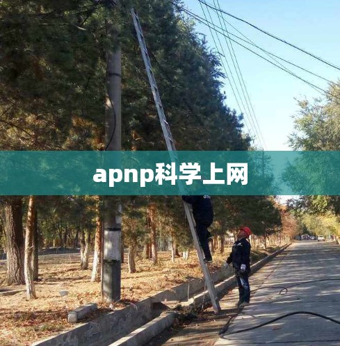 apnp科学上网