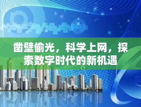 凿壁偷光，科学上网，探索数字时代的新机遇