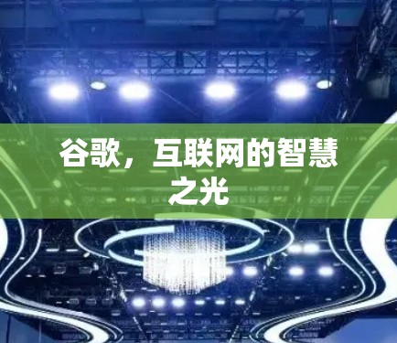谷歌，互联网的智慧之光