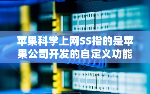 苹果科学上网SS指的是苹果公司开发的自定义功能，具体含义如下