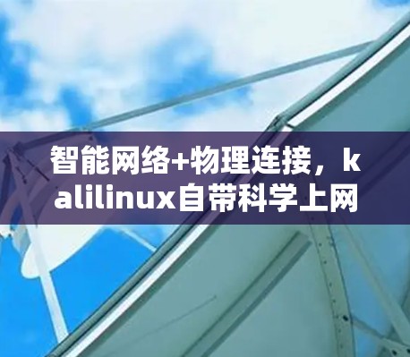智能网络+物理连接，kalilinux自带科学上网