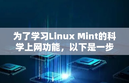 为了学习Linux Mint的科学上网功能，以下是一步步的指南