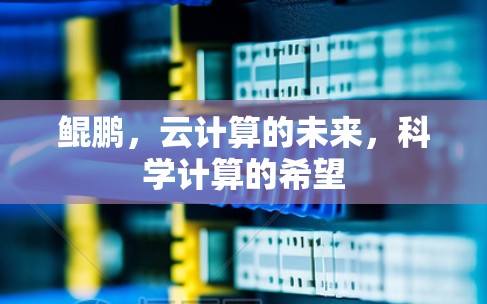 鲲鹏，云计算的未来，科学计算的希望