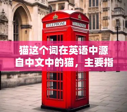 猫这个词在英语中源自中文中的猫，主要指动物。以下是关于猫在英语中的具体信息