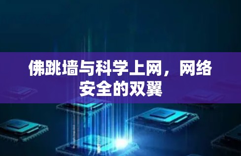佛跳墙与科学上网，网络安全的双翼