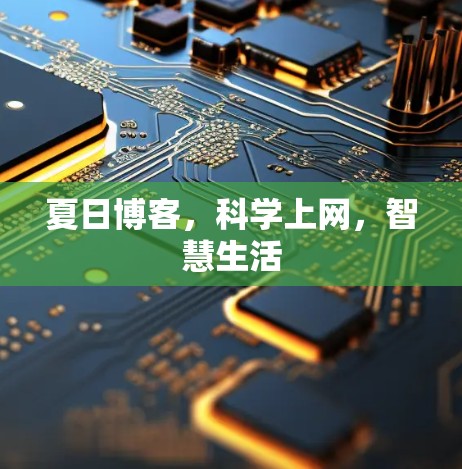 夏日博客，科学上网，智慧生活
