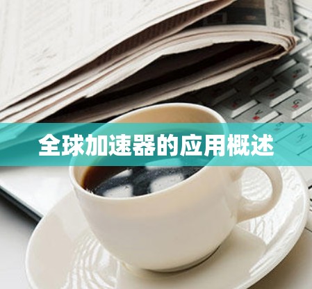 全球加速器的应用概述