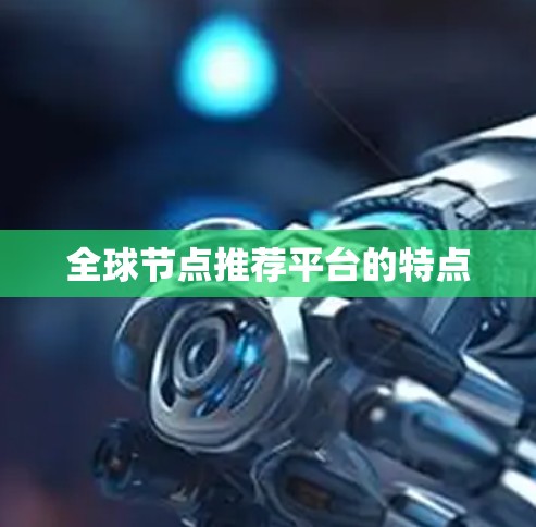 全球节点推荐平台的特点