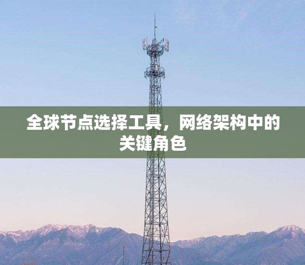 全球节点选择工具，网络架构中的关键角色