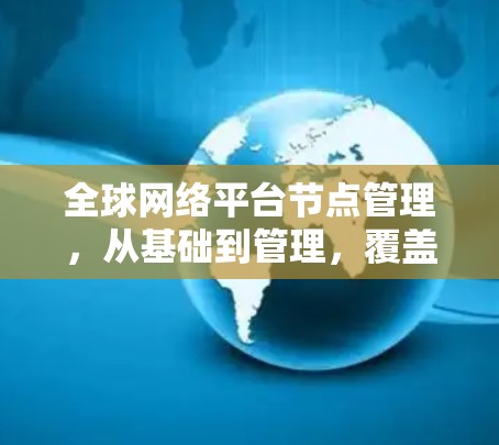 全球网络平台节点管理，从基础到管理，覆盖全球网络环境