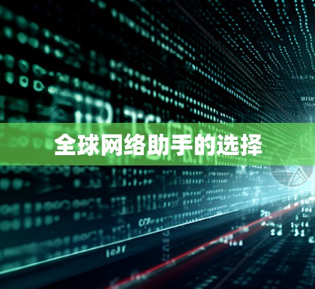 全球网络助手的选择