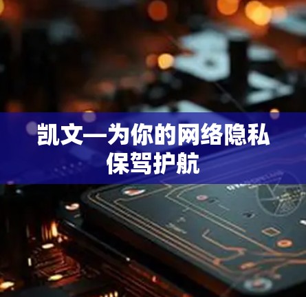 凯文—为你的网络隐私保驾护航