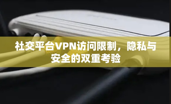 社交平台VPN访问限制，隐私与安全的双重考验