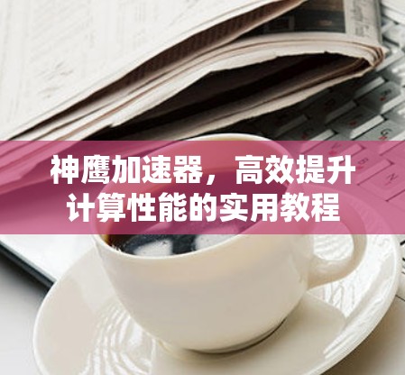 神鹰加速器，高效提升计算性能的实用教程