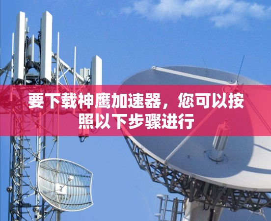 要下载神鹰加速器，您可以按照以下步骤进行