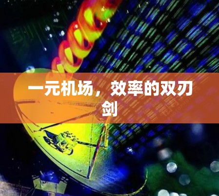 一元机场，效率的双刃剑