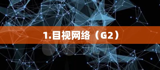 1.目视网络（G2）