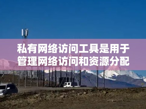 私有网络访问工具是用于管理网络访问和资源分配的工具，广泛应用于内部和外部环境。以下是对私有网络访问工具的详细总结