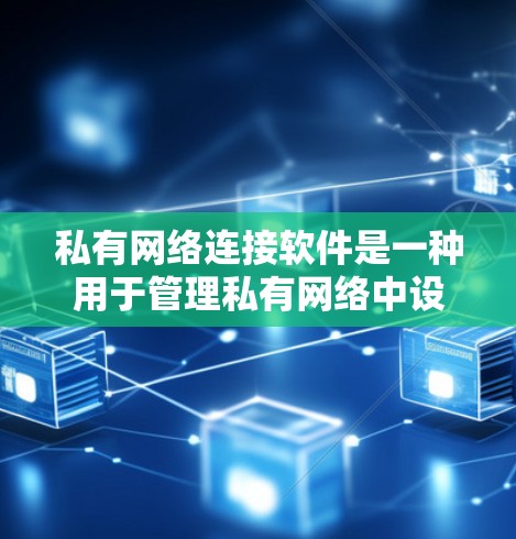 私有网络连接软件是一种用于管理私有网络中设备连接的网络设备管理工具。它通过IP地址分配、路由管理、设备管理等多种功能，帮助用户高效地管理私有网络环境。以下是对该主题的分步说明