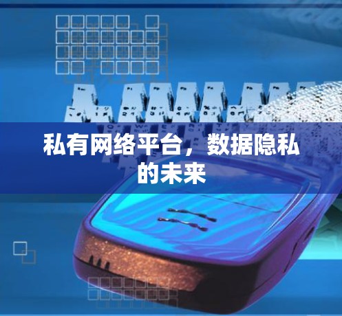 私有网络平台，数据隐私的未来
