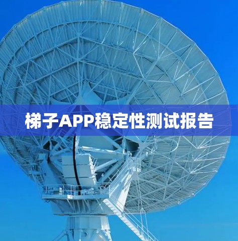 梯子APP稳定性测试报告