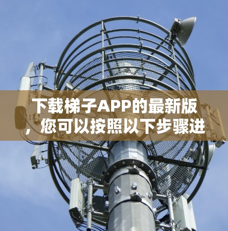 下载梯子APP的最新版，您可以按照以下步骤进行