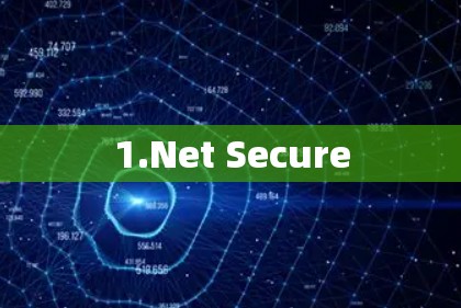 1.Net Secure