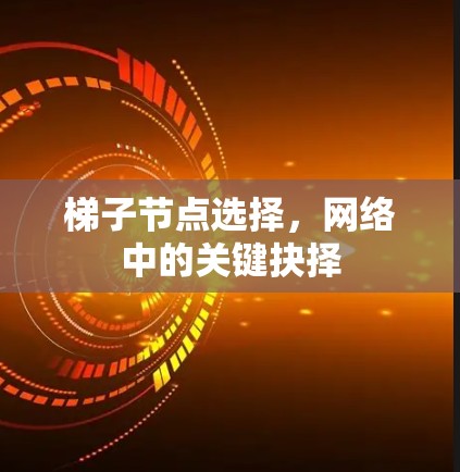 梯子节点选择，网络中的关键抉择