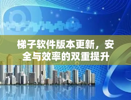 梯子软件版本更新，安全与效率的双重提升
