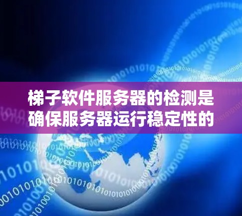 梯子软件服务器的检测是确保服务器运行稳定性的关键步骤。以下是对梯子软件服务器检测方法的总结和建议