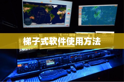 梯子式软件使用方法