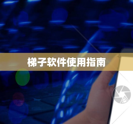梯子软件使用指南