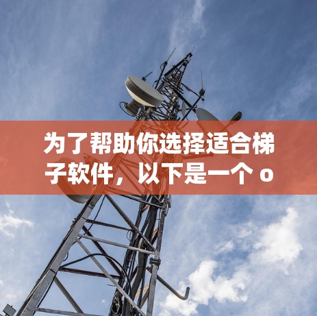 为了帮助你选择适合梯子软件，以下是一个 organized的建议