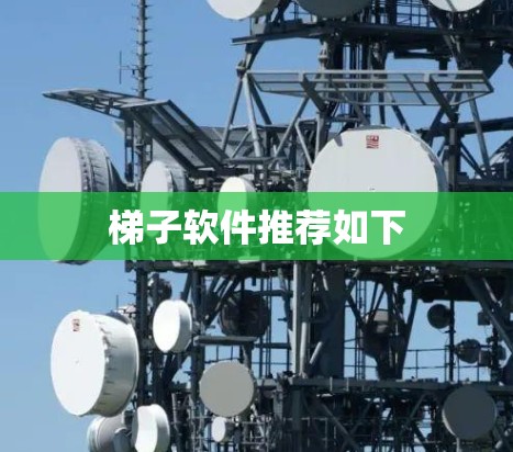 梯子软件推荐如下